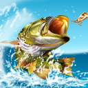 Télécharger  Pocket Fishing