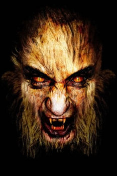 Télécharger Scary Video Maker Divertissement pour Android Capture d'écran 2