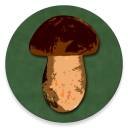 Télécharger  Book of Mushrooms