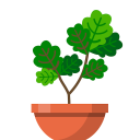 Télécharger  Terrarium