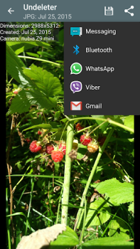 Télécharger Undeleter Récup. docs & images Outils pour Android Capture d'écran 4