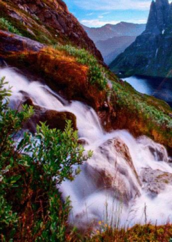 Télécharger Waterfall Live Wallpaper Personnalisation pour Android Capture d'écran 3