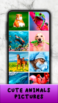 Télécharger Jeux de Puzzle pour Adultes Jeux de réflexion pour Android Capture d'écran 7
