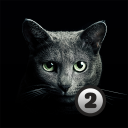 Télécharger  Trouve le chat 2