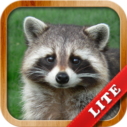 Logo Animaux pour les Enfants