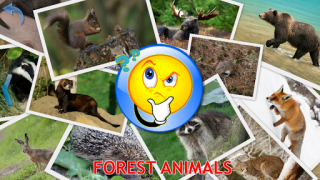 Télécharger Animaux pour les Enfants Apprendre pour Android Capture d'écran 5