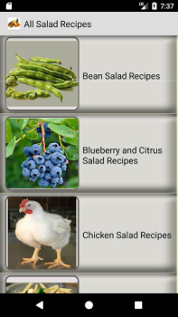 Télécharger All Salad Recipes Nourriture et boissons pour Android Capture d'écran 2