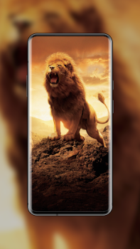 Télécharger 4K Wallpaper Expert Personnalisation pour Android Capture d'écran 7