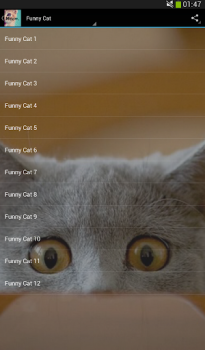Télécharger Des sons de chats Musique et audio pour Android Capture d'écran 4
