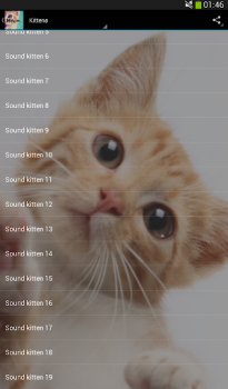 Télécharger Des sons de chats Musique et audio pour Android Capture d'écran 5