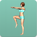 Télécharger  Aerobics workout at home