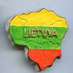 app logo