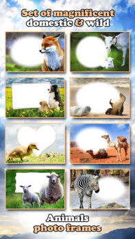 Télécharger All Animals Photo Frames 🐅 Wildlife 🐈 Cute Pets Photo pour Android Capture d'écran 6