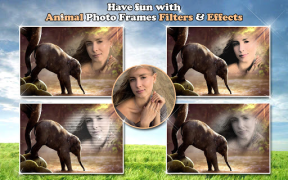 Télécharger All Animals Photo Frames 🐅 Wildlife 🐈 Cute Pets Photo pour Android Capture d'écran 7