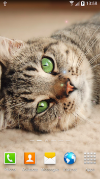 Télécharger Cat Live Wallpaper Personnalisation pour Android Capture d'écran 3