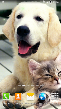 Télécharger Cat Live Wallpaper Personnalisation pour Android Capture d'écran 7