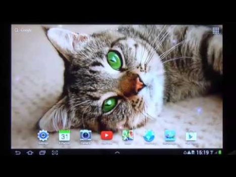 Télécharger Cat Live Wallpaper Personnalisation pour Android Capture d'écran 8