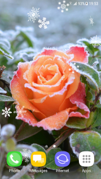 Télécharger Beautiful Winter Live Wallpape Personnalisation pour Android Capture d'écran 3