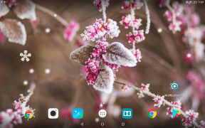 Télécharger Beautiful Winter Live Wallpape Personnalisation pour Android Capture d'écran 7