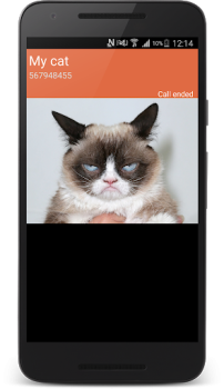 Télécharger faux appel téléphonique Divertissement pour Android Capture d'écran 6