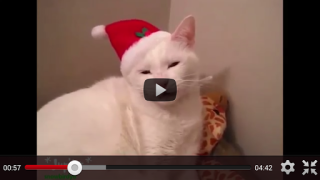 Télécharger Free Funny Videos for Whatsapp Divertissement pour Android Capture d'écran 7