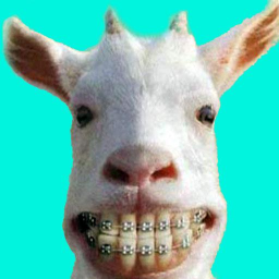 Logo Funny Animal Videos: Cats Dogs