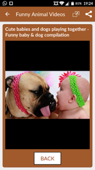 Télécharger Funny Animal Videos: Cats Dogs Divertissement pour Android Capture d'écran 3