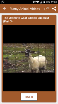 Télécharger Funny Animal Videos: Cats Dogs Divertissement pour Android Capture d'écran 6