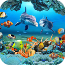 Télécharger  Poisson Koi Fond d'écran Animé