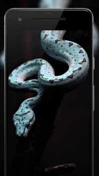 Télécharger Darkify 3 Personnalisation pour Android Capture d'écran 6