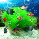 Télécharger  Aquarium