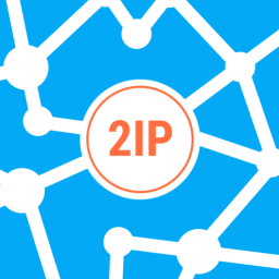 Logo 2IP — Speed Test and my IP add