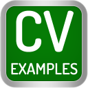 Télécharger  CV Examples: PDF CV Templates