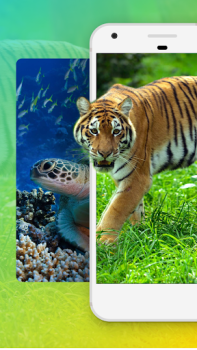 Télécharger Fond D'écran Animaux Personnalisation pour Android Capture d'écran 2