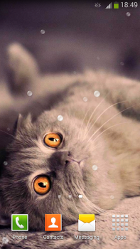 Télécharger Fonds d'écran Chats Personnalisation pour Android Capture d'écran 6