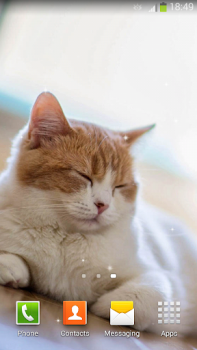 Télécharger Fonds d'écran Chats Personnalisation pour Android Capture d'écran 7