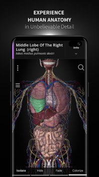 Télécharger Anatomyka - 3D Anatomy Atlas Médecine pour Android