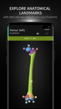Télécharger Anatomyka - 3D Anatomy Atlas Médecine pour Android Capture d'écran 2