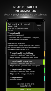 Télécharger Anatomyka - 3D Anatomy Atlas Médecine pour Android Capture d'écran 3
