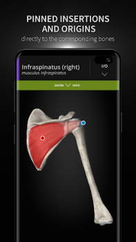Télécharger Anatomyka - 3D Anatomy Atlas Médecine pour Android Capture d'écran 4