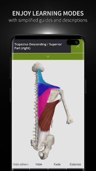 Télécharger Anatomyka - 3D Anatomy Atlas Médecine pour Android Capture d'écran 6