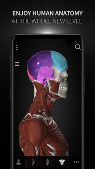 Télécharger Anatomyka - 3D Anatomy Atlas Médecine pour Android Capture d'écran 7