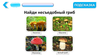 Télécharger Подготовка к школе: полный кур Éducation pour Android Capture d'écran 3