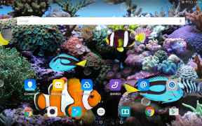 Télécharger Coral Fish 3D Live Wallpaper Personnalisation pour Android Capture d'écran 6