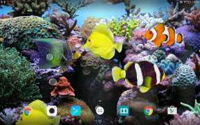 Télécharger Coral Fish 3D Live Wallpaper Personnalisation pour Android Capture d'écran 7