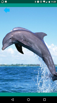 Télécharger Des sons d'animaux. Divertissement pour Android Capture d'écran 4