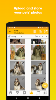 Télécharger 11Pets: Soin animaux Mode de vie pour Android Capture d'écran 5