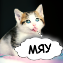 Télécharger  Cat translator. Cat sounds. Meow joke