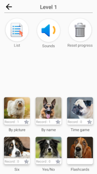 Races de chiens - Quiz!