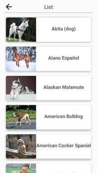 Races de chiens - Quiz!